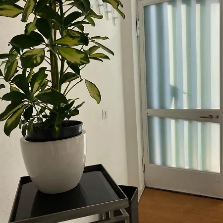 Scalabrini Loft Dom wakacyjny